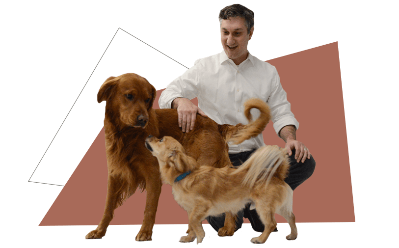 a marketing professional with two dogs