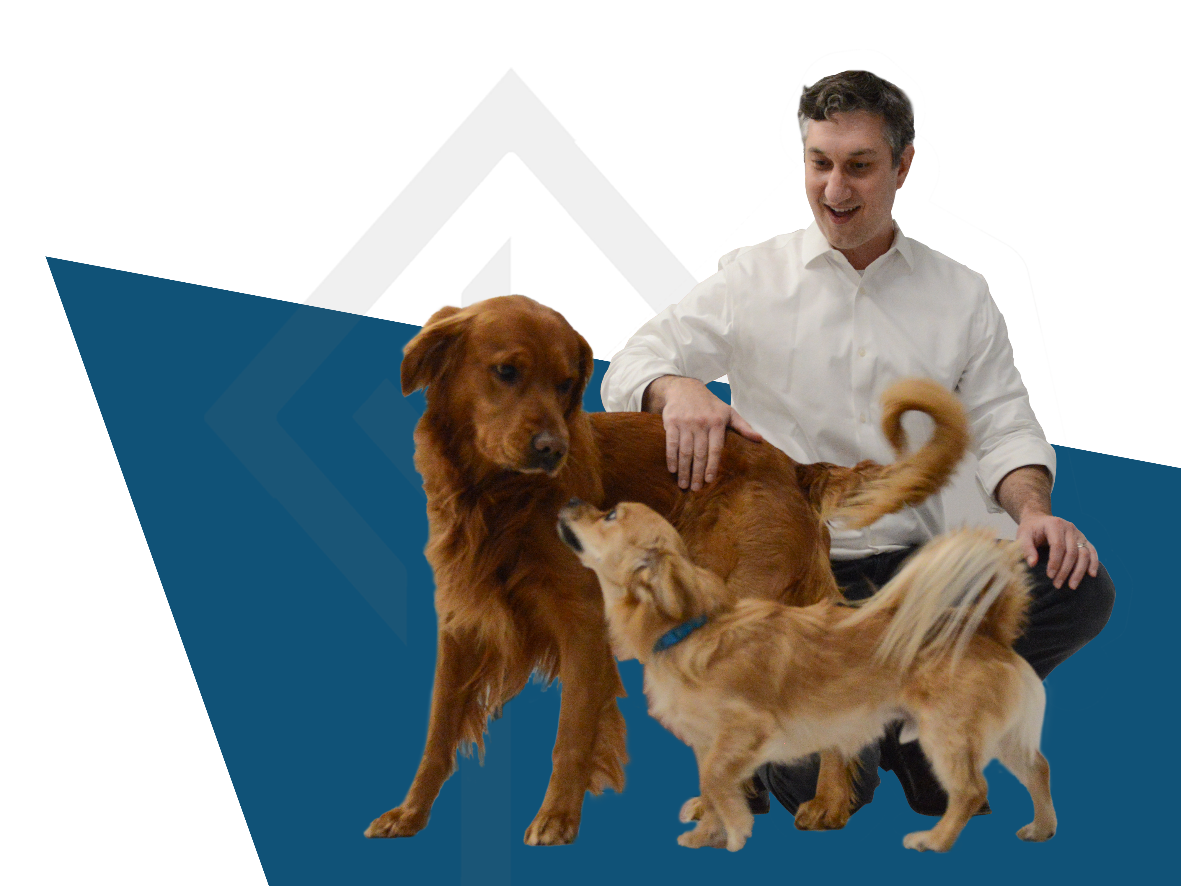 Dave Weishaus from Boxelder Consulting, and the Boxelder Therapy dogs are here to help.